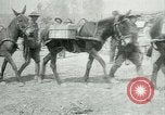 Image Bataille d'Arras France, 1917, de la seconde 24 séquences d'archives historiques vidéo 65675024078