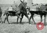 Image Bataille d'Arras France, 1917, de la seconde 25 séquences d'archives historiques vidéo 65675024078