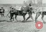 Image Bataille d'Arras France, 1917, de la seconde 32 séquences d'archives historiques vidéo 65675024078