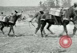 Image Bataille d'Arras France, 1917, de la seconde 33 séquences d'archives historiques vidéo 65675024078