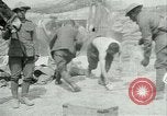 Image Bataille d'Arras France, 1917, de la seconde 54 séquences d'archives historiques vidéo 65675024078