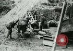 Standbild Schlacht von Arras Frankreich, 1917, aus Sekunde 45 historischem Filmmaterial Videoclip 65675024085
