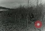 Image of Royal Field Artillery France, 1918, second 24 stock footage video 65675024101