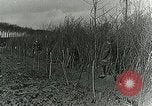 Image of Royal Field Artillery France, 1918, second 26 stock footage video 65675024101