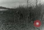 Image of Royal Field Artillery France, 1918, second 28 stock footage video 65675024101