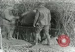 Image of Royal Field Artillery France, 1918, second 31 stock footage video 65675024101