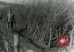 Image of Royal Field Artillery France, 1918, second 45 stock footage video 65675024101