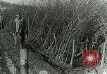 Image of Royal Field Artillery France, 1918, second 46 stock footage video 65675024101