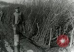 Image of Royal Field Artillery France, 1918, second 47 stock footage video 65675024101