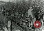 Image of Royal Field Artillery France, 1918, second 49 stock footage video 65675024101