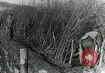 Image of Royal Field Artillery France, 1918, second 50 stock footage video 65675024101