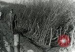 Image of Royal Field Artillery France, 1918, second 52 stock footage video 65675024101