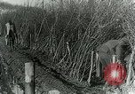 Image of Royal Field Artillery France, 1918, second 56 stock footage video 65675024101