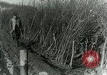 Image of Royal Field Artillery France, 1918, second 58 stock footage video 65675024101