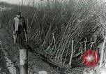 Image of Royal Field Artillery France, 1918, second 59 stock footage video 65675024101