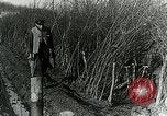 Image of Royal Field Artillery France, 1918, second 60 stock footage video 65675024101