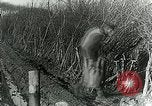 Image of Royal Field Artillery France, 1918, second 62 stock footage video 65675024101