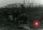Image of Royal Field Artillery France, 1918, second 52 stock footage video 65675024102