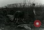 Image of Royal Field Artillery France, 1918, second 56 stock footage video 65675024102