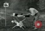Image of Henry Ford United States USA, 1919, second 41 stock footage video 65675024110