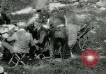 Image of Henry Ford United States USA, 1919, second 22 stock footage video 65675024113