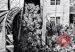 Image of World War I France, 1917, second 29 stock footage video 65675024133