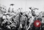 Image Armistice se terminant Première Guerre Mondiale France, 1918, de la seconde 12 séquences d'archives historiques vidéo 65675024134