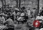 Image of Marshall Petain France, 1917, second 8 stock footage video 65675024137