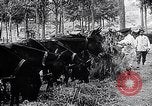Image of Marshall Petain France, 1917, second 14 stock footage video 65675024137