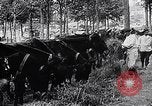 Image of Marshall Petain France, 1917, second 15 stock footage video 65675024137