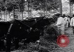 Image of Marshall Petain France, 1917, second 17 stock footage video 65675024137