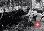Image of Marshall Petain France, 1917, second 18 stock footage video 65675024137