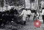 Image of Marshall Petain France, 1917, second 19 stock footage video 65675024137