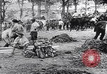 Image of Marshall Petain France, 1917, second 26 stock footage video 65675024137