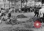 Image of Marshall Petain France, 1917, second 27 stock footage video 65675024137