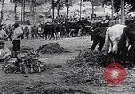 Image of Marshall Petain France, 1917, second 28 stock footage video 65675024137