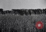 Image of Philippe Petain France, 1918, second 15 stock footage video 65675024138
