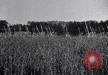 Image of Philippe Petain France, 1918, second 16 stock footage video 65675024138