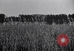 Image of Philippe Petain France, 1918, second 17 stock footage video 65675024138