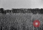 Image of Philippe Petain France, 1918, second 18 stock footage video 65675024138