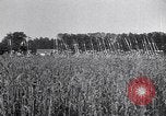 Image of Philippe Petain France, 1918, second 19 stock footage video 65675024138