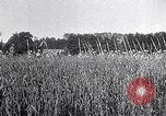 Image of Philippe Petain France, 1918, second 20 stock footage video 65675024138
