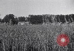 Image of Philippe Petain France, 1918, second 21 stock footage video 65675024138