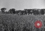 Image of Philippe Petain France, 1918, second 23 stock footage video 65675024138