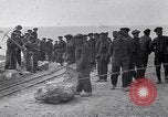 Image Première Guerre Mondiale Sedd el Bahr cap Helles Dardanelles Turquie, 1915, de la seconde 60 séquences d'archives historiques vidéo 65675024149