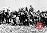 Image of French troops Lorraine France, 1916, second 17 stock footage video 65675024152