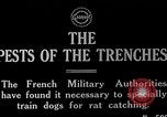 Image of Dog Training France, 1917, second 1 stock footage video 65675024165