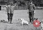 Image of Dog Training France, 1917, second 7 stock footage video 65675024165