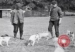 Image of Dog Training France, 1917, second 8 stock footage video 65675024165