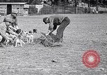 Image of Dog Training France, 1917, second 12 stock footage video 65675024165